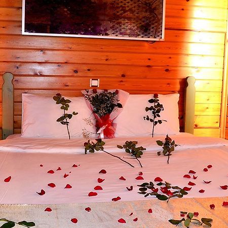 Life Port Hotel Istanbul Sekerpinari Buitenkant foto